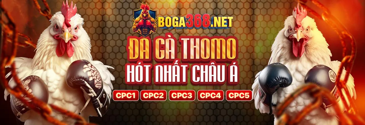 Hình ảnh chính về chiến lược Baccarat tại i5bet nhà cái