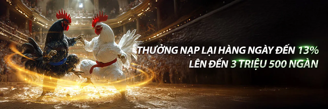 Hình ảnh chính về chiến lược nổ hũ tỷ lệ thắng cao tại i5bet nhà cái